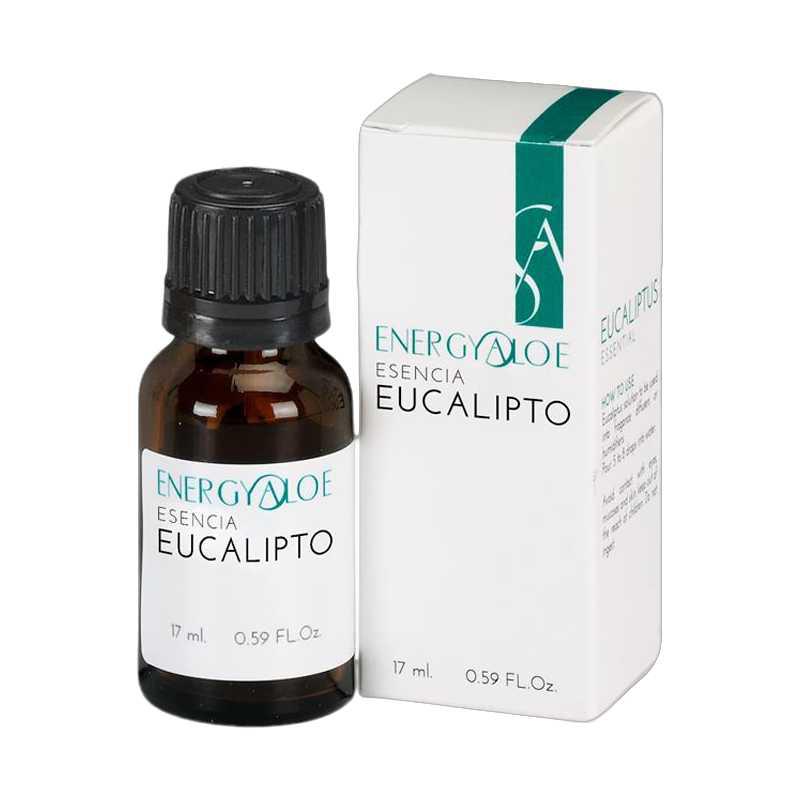 Esencia de eucalipto para humificadores